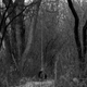 Illustration for article titled Penny Road Part Deux